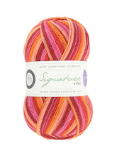 Load image into Gallery viewer, WYS Signature 4 ply Sock Yarn