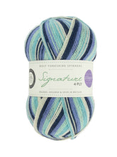 Load image into Gallery viewer, WYS Signature 4 ply Sock Yarn