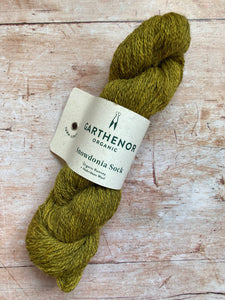 Garthenor Organic - Snowdonia Sock Yarn