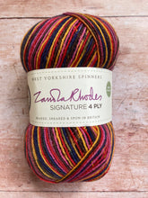 Load image into Gallery viewer, WYS Signature 4 ply Sock Yarn