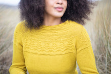 Load image into Gallery viewer, The Gansey Knitting Source Book by Di Gilpin