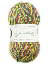 Load image into Gallery viewer, WYS Signature 4 ply Sock Yarn