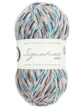 Load image into Gallery viewer, WYS Signature 4 ply Sock Yarn