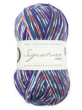 Load image into Gallery viewer, WYS Signature 4 ply Sock Yarn