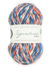 Load image into Gallery viewer, WYS Signature 4 ply Sock Yarn