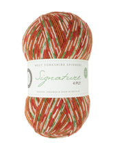 Load image into Gallery viewer, WYS Signature 4 ply Sock Yarn