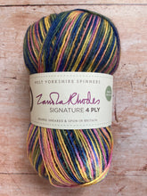 Load image into Gallery viewer, WYS Signature 4 ply Sock Yarn