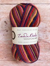 Load image into Gallery viewer, WYS Signature 4 ply Sock Yarn
