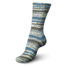 Load image into Gallery viewer, Regia - Colour Sock Yarn 4 ply