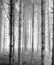 Load image into Gallery viewer, Sark - by Kate Davies