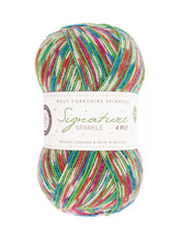 Load image into Gallery viewer, WYS Signature 4 ply Sock Yarn
