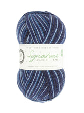 Load image into Gallery viewer, WYS Signature 4 ply Sock Yarn