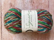 Load image into Gallery viewer, WYS Signature 4 ply Sock Yarn