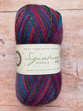 Load image into Gallery viewer, WYS Signature 4 ply Sock Yarn