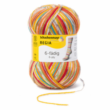 Load image into Gallery viewer, Regia - 6 ply Sock Yarn