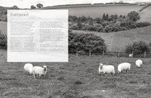 Load image into Gallery viewer, The Wonder of Wool