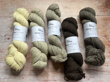 Load image into Gallery viewer, Laxtons - Sheepsoft Aran