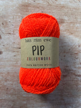 Load image into Gallery viewer, Baa Ram Ewe - Pip 4 ply