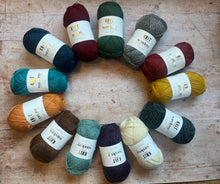 Load image into Gallery viewer, World of Wool - Wanderer 4 ply Sock Yarn