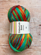 Load image into Gallery viewer, WYS ColourLab Sock Yarn DK