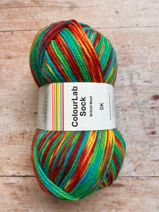 WYS ColourLab Sock Yarn DK