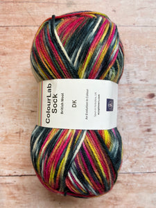 WYS ColourLab Sock Yarn DK