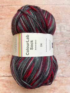 WYS ColourLab Sock Yarn DK