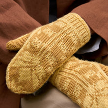 Load image into Gallery viewer, WYS Arcadia Cowl &amp; Mittens Kit