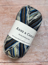 Load image into Gallery viewer, Arne &amp; Carlos Socks &amp; More 4 ply