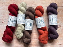 Load image into Gallery viewer, Northern Yarn - Lune 4 ply Sock Yarn