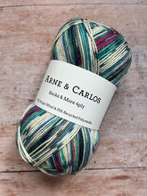 Load image into Gallery viewer, Arne &amp; Carlos Socks &amp; More 4 ply