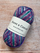 Load image into Gallery viewer, Arne &amp; Carlos Socks &amp; More 4 ply