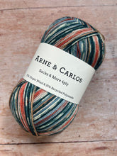 Load image into Gallery viewer, Arne &amp; Carlos Socks &amp; More 4 ply