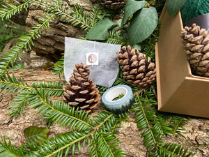 Pine & Snow Festive Box