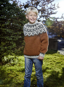 Lopi Pattern Book 38