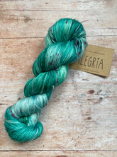 Load image into Gallery viewer, Manos del Uruguay - Alegria 4 ply (sock yarn)