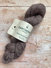 Load image into Gallery viewer, Garthenor Organic - Snowdonia Sock Yarn