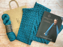 Load image into Gallery viewer, WYS Exquisite 4 ply - Yarn &amp; Pattern Kit - Eve Fishtail Scarf
