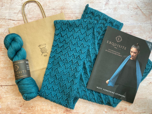 WYS Exquisite 4 ply - Yarn & Pattern Kit - Eve Fishtail Scarf