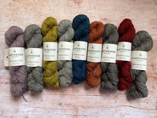 Garthenor Organic - Snowdonia Sock Yarn