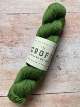 Load image into Gallery viewer, WYS The Croft Shetland DK