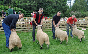 Wenning Wool - Masham
