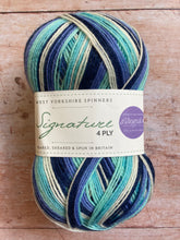 Load image into Gallery viewer, WYS Signature 4 ply Sock Yarn