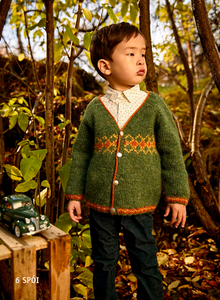 Lopi Pattern Book 37