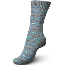 Load image into Gallery viewer, Regia - Colour Sock Yarn 4 ply