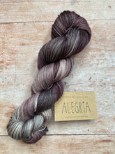 Load image into Gallery viewer, Manos del Uruguay - Alegria 4 ply (sock yarn)