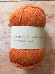 gwlân Cambrian Wool DK