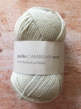 Load image into Gallery viewer, gwlân Cambrian Wool DK