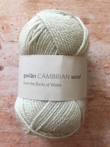 gwlân Cambrian Wool DK