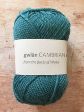 Load image into Gallery viewer, gwlân Cambrian Wool DK